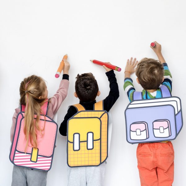 Práce sociálního pedagoga